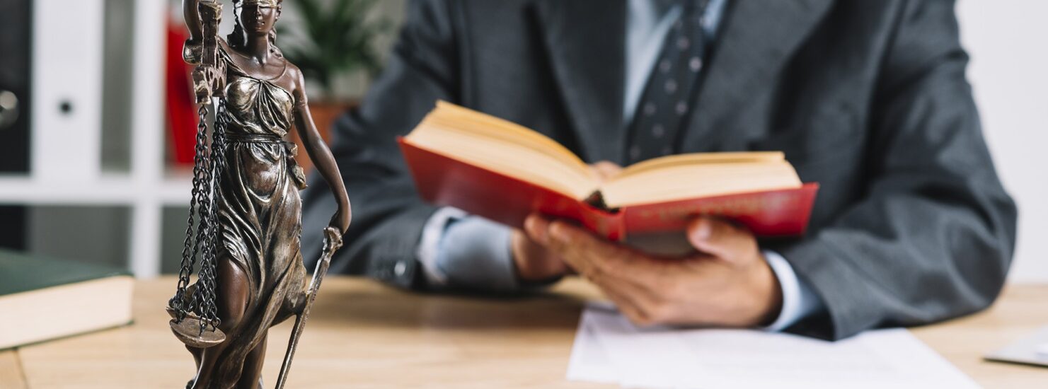 male-justice-reading-law-book